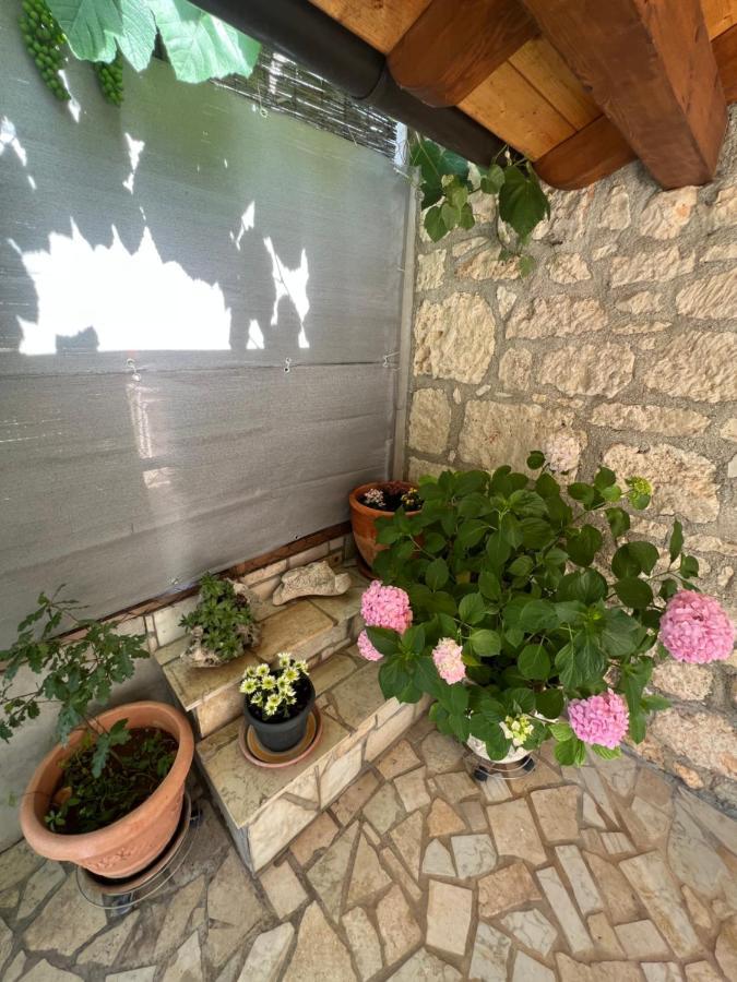 Kuca Za Odmor Matea Lägenhet Poreč Exteriör bild