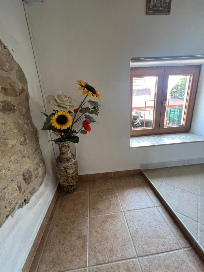 Kuca Za Odmor Matea Lägenhet Poreč Exteriör bild
